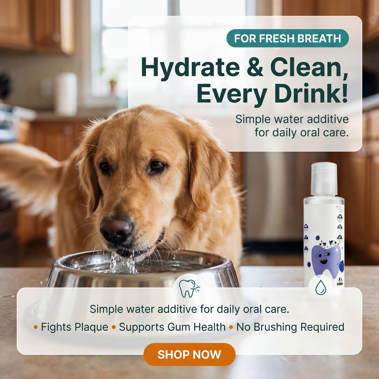Daily Dental Water Additive